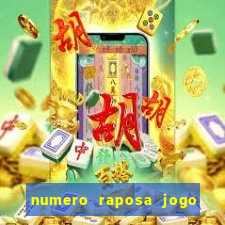 numero raposa jogo do bicho